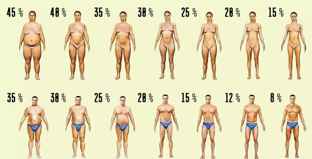 Визуальная оценка процента жира в организме