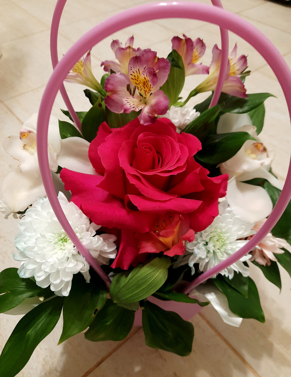 Фото автора, просто для обложки