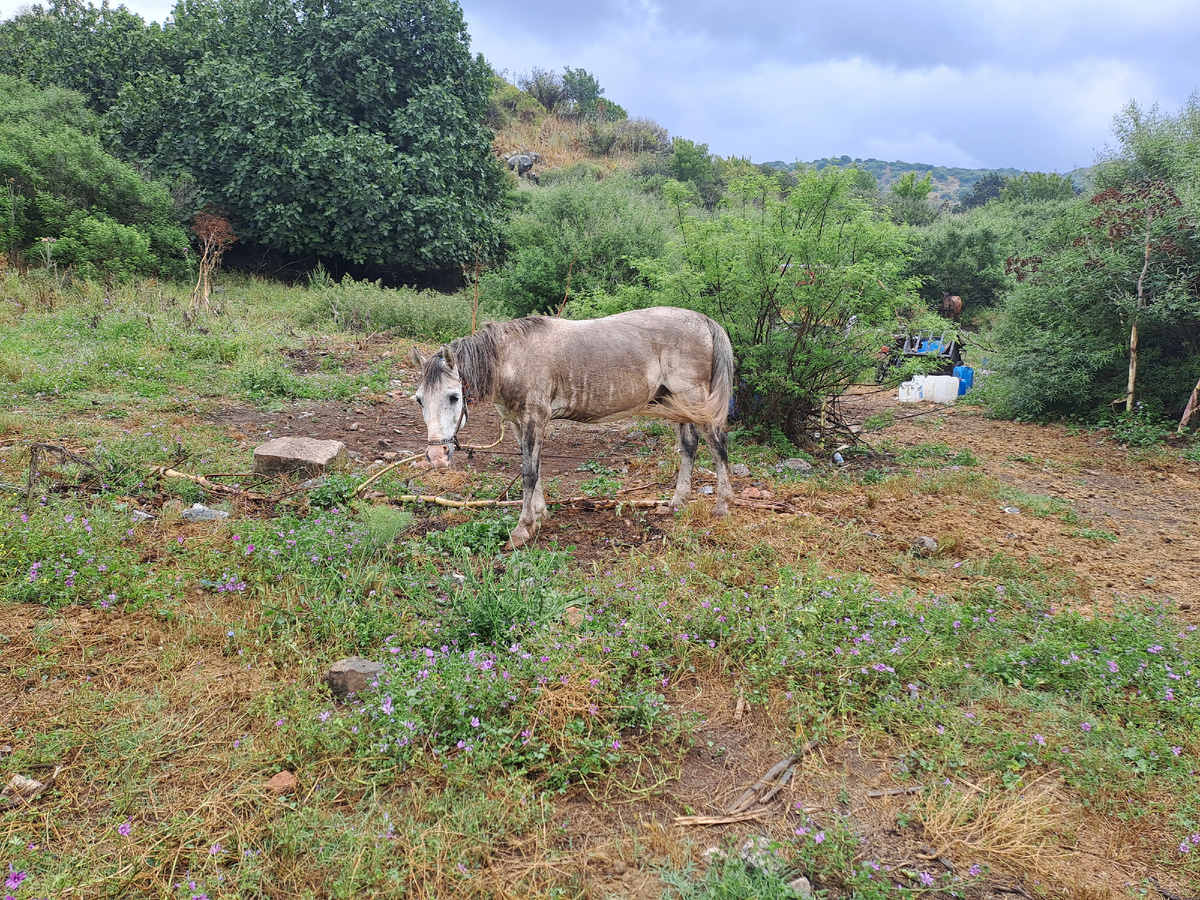 По пути в Эфес