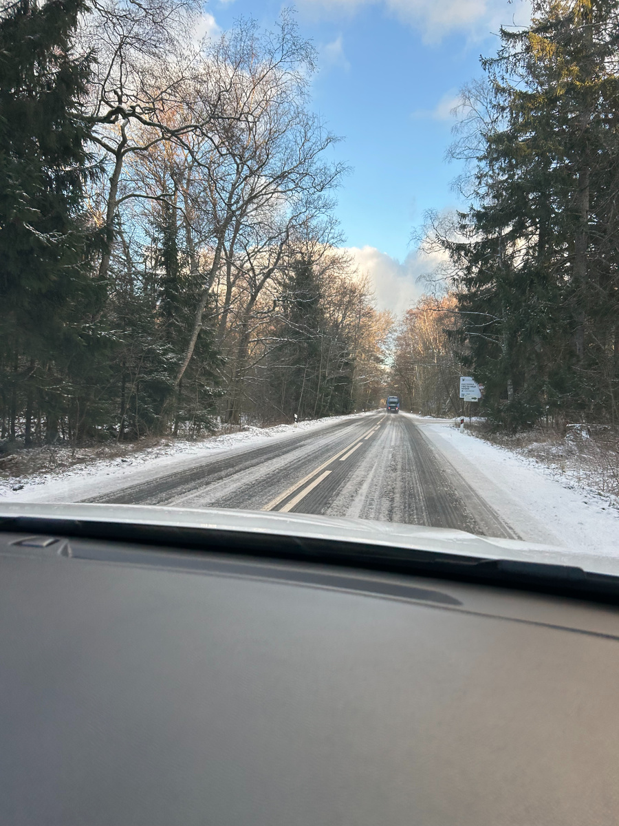 Куршская коса (личное фото)