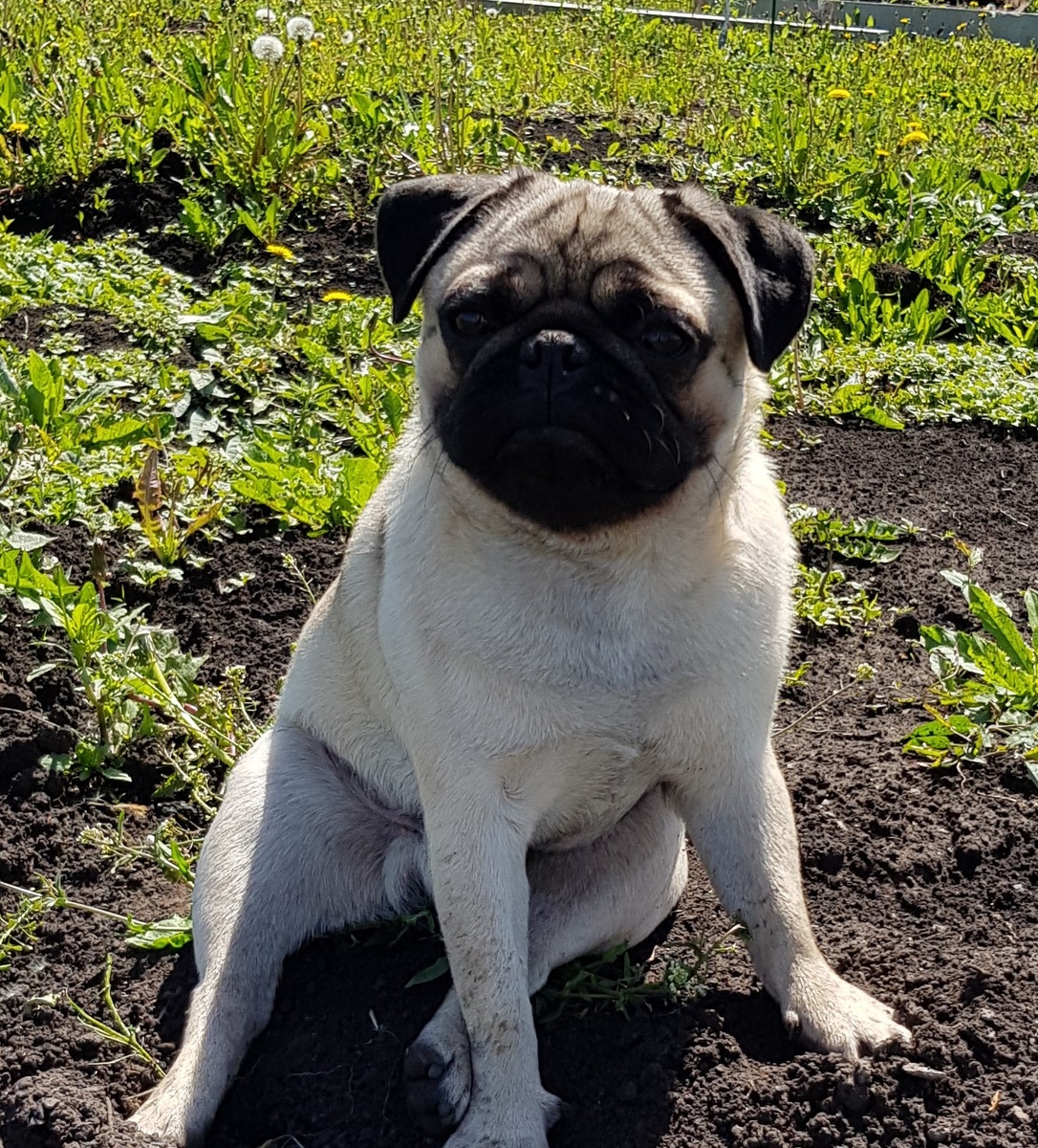 Фото из личного архива