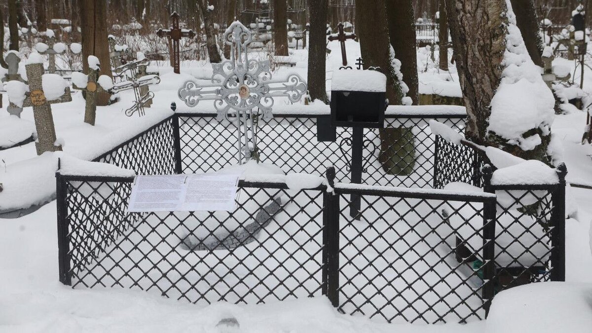    Фото: Роман Пименов/ «Петербургский дневник»