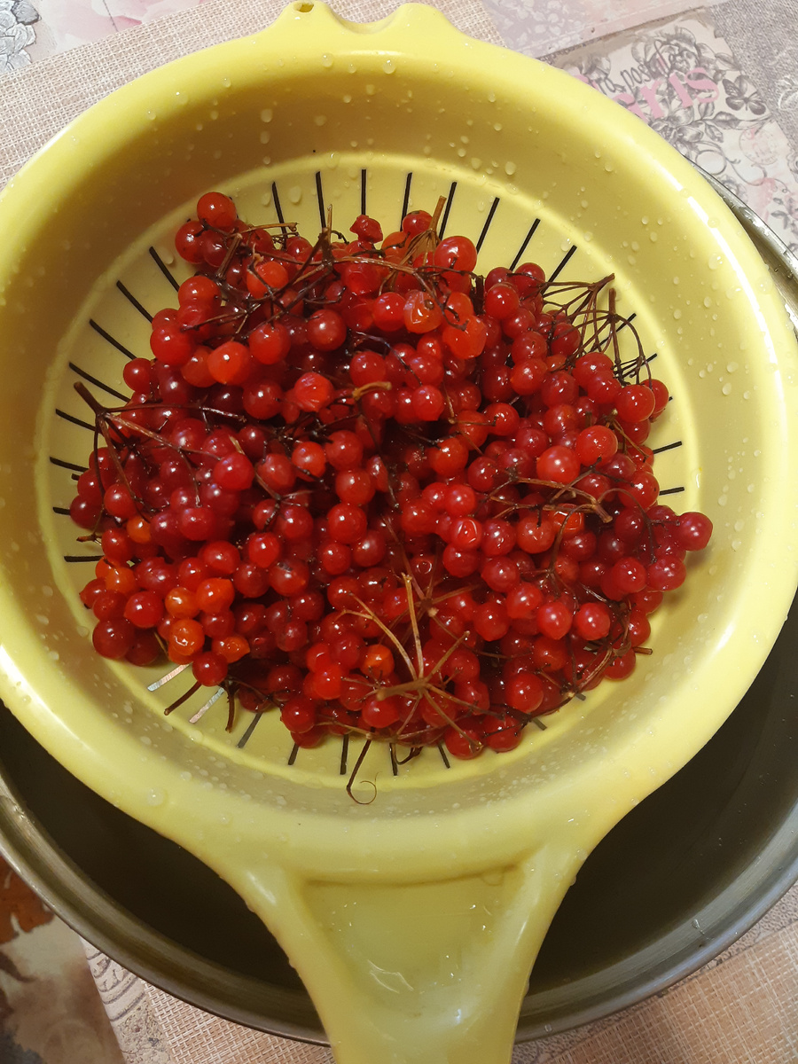 Ягода калина на балкон манила.