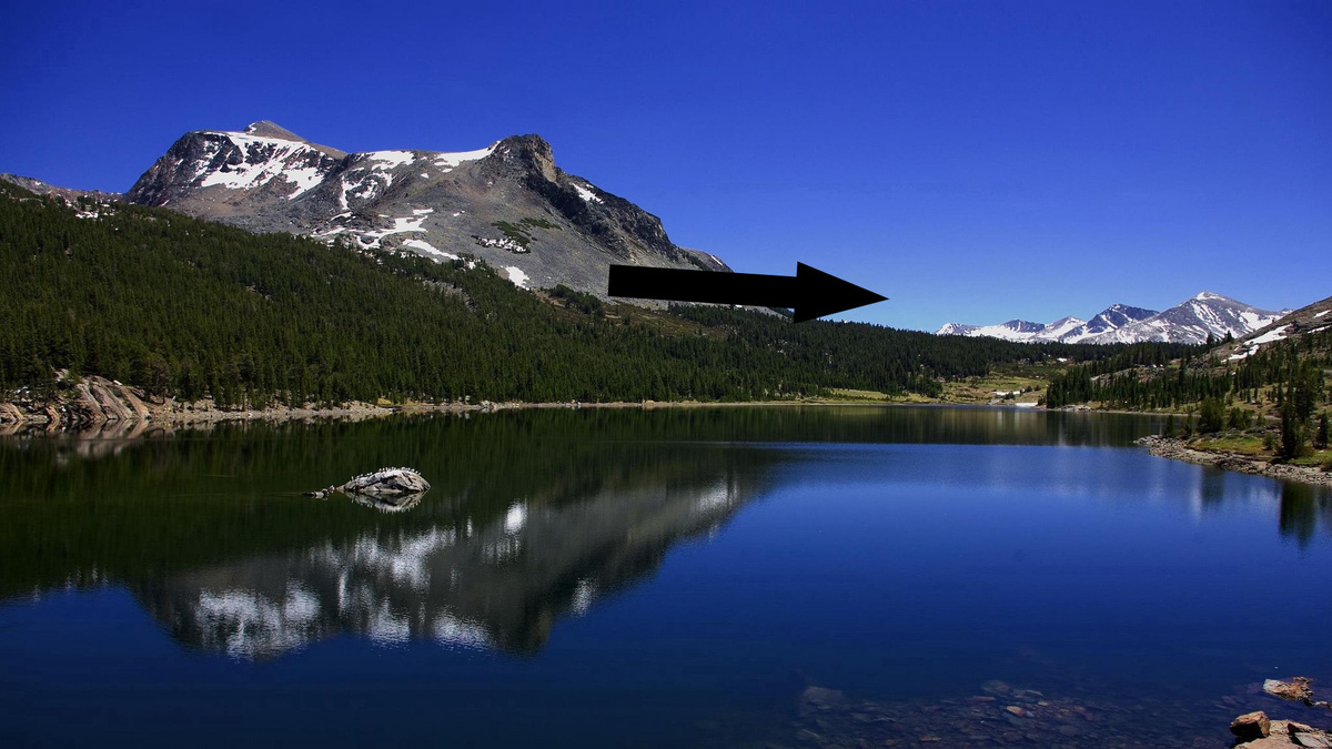    Можно ли мотоциклам проезжать между рядами? Узнайте правду!