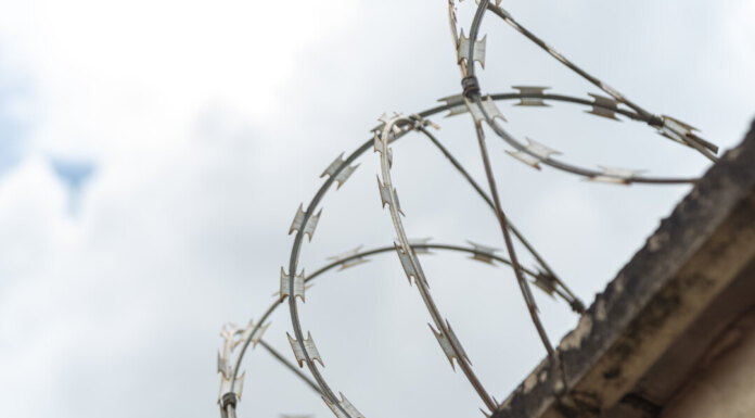   Image by Mateus Andre on Freepik