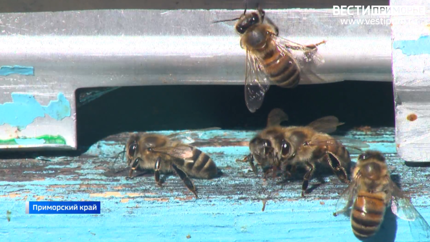    Источник фото: