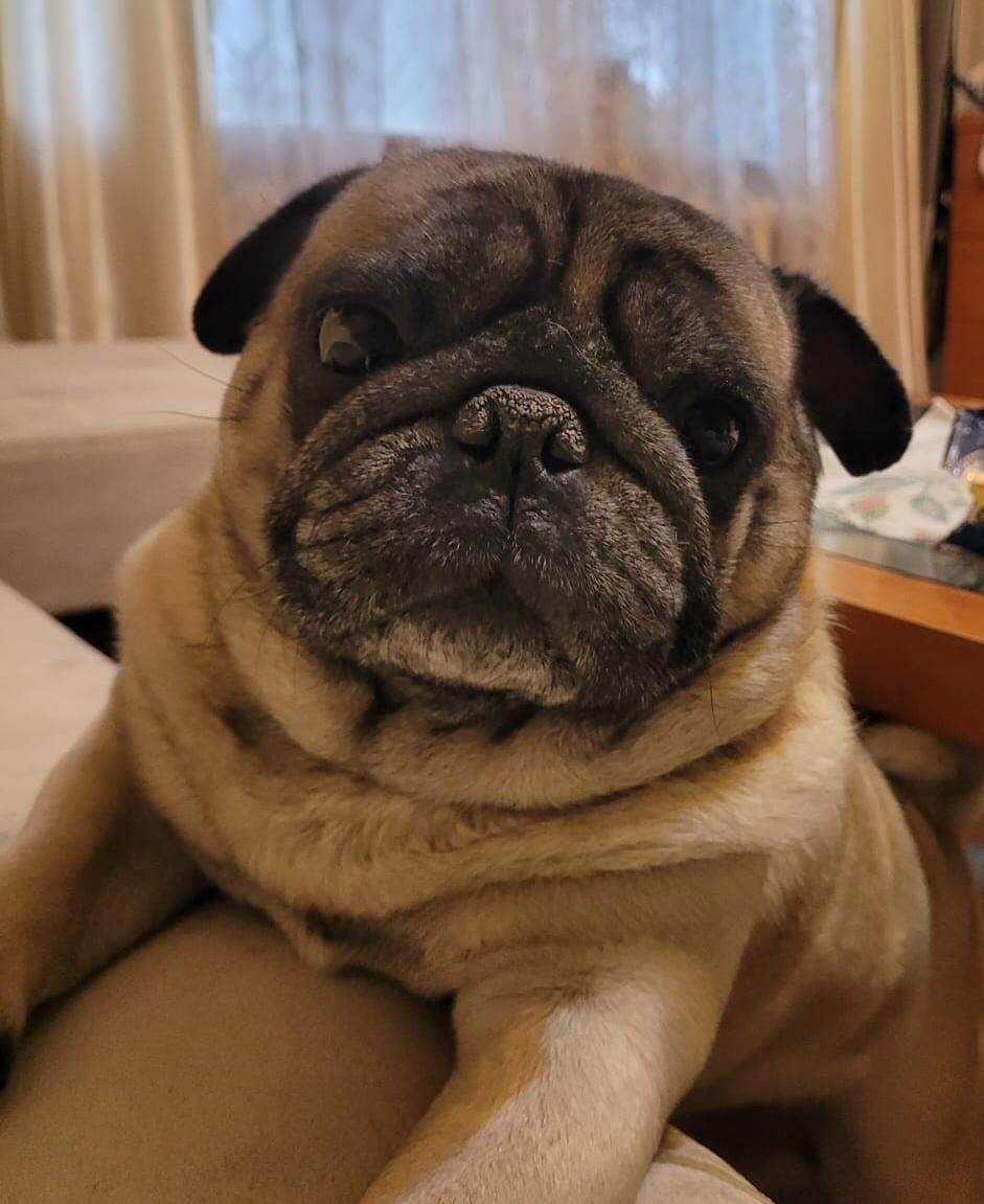 Автобус. 6 лет 7 месяцев