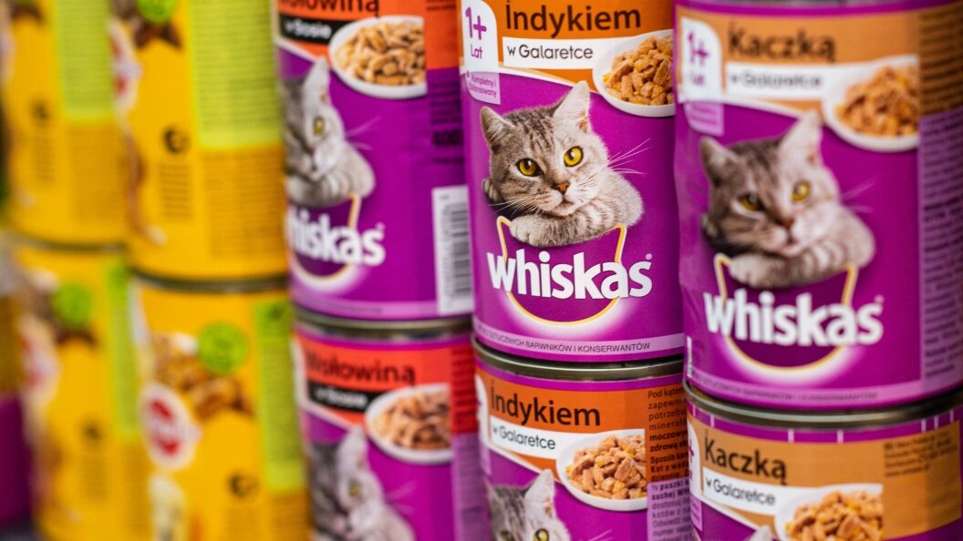    Mateusz Slodkowski/Keystone Press Agency/Globallookpress