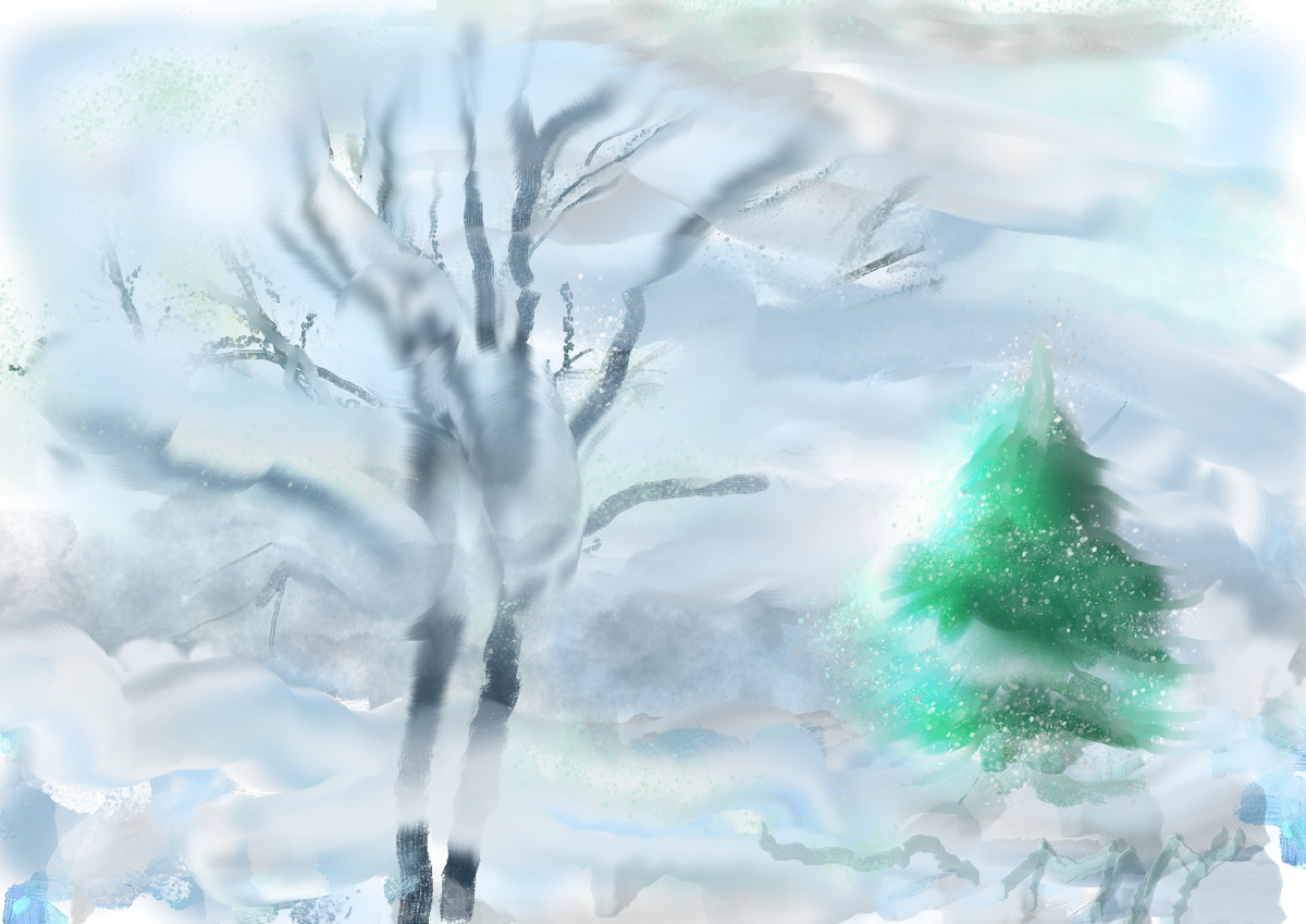 Зима за моим окном