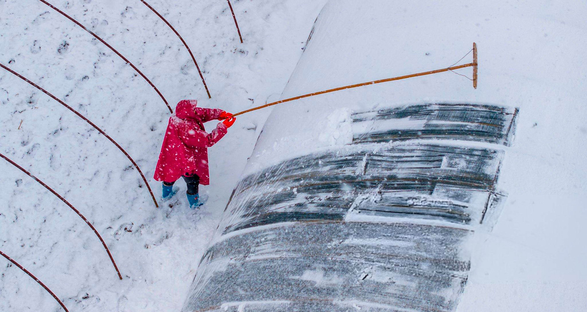 Счищаем снег с теплица