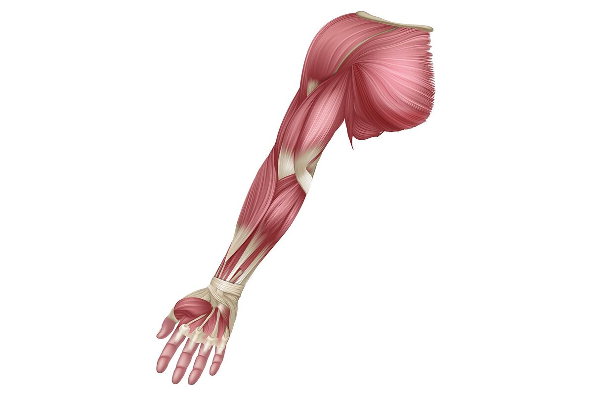    Christos Georghiou / Shutterstock / FOTODOM