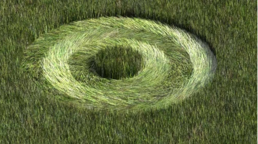 Фотография среднего круга сделана с помощью лестницы. (Фото: sun9-74.userapi.com).