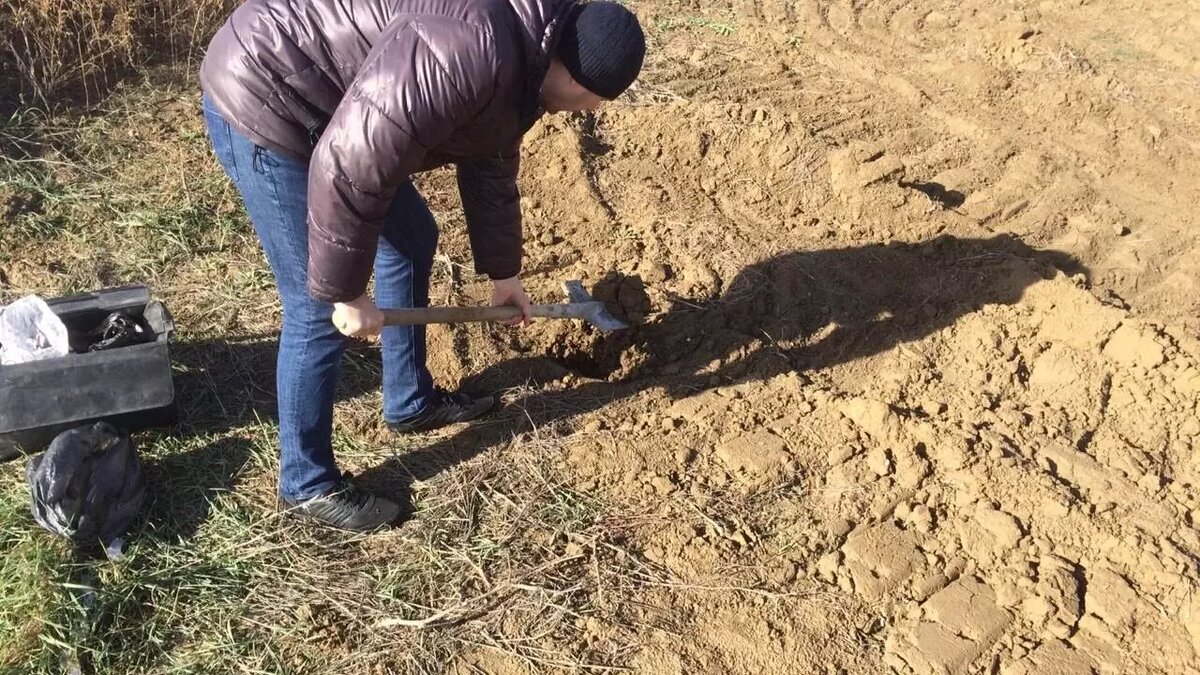     Автор: chr.clati.ru Источник: иллюстрация