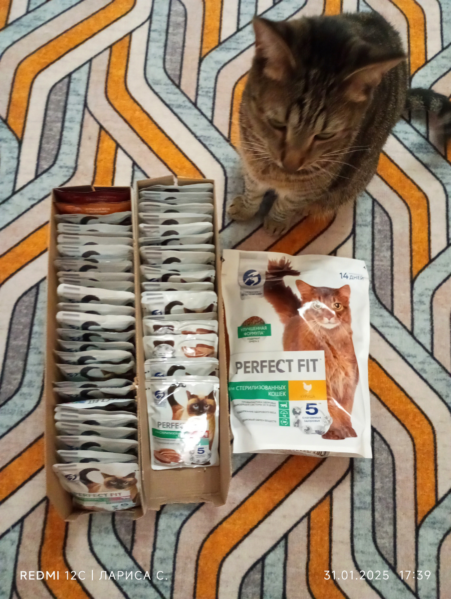 Сегодняшняя покупка.