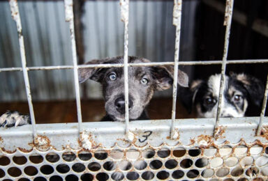 Фото: Варвара Вострокнутова