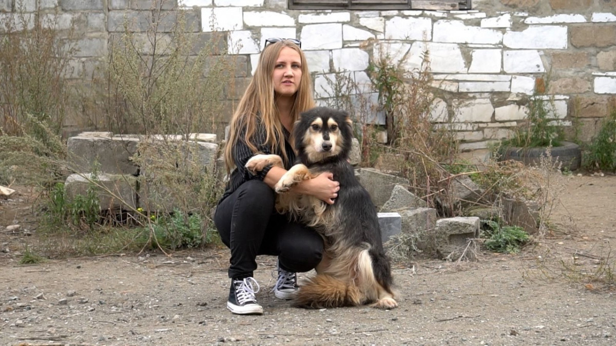 Фото: приют «Дай шанс»