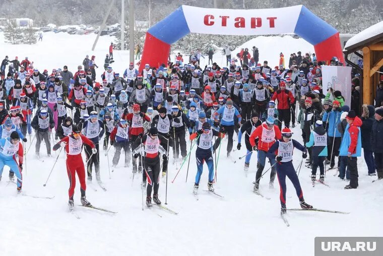 «Лыжня России» пройдет на Ямале 8, 9 февраля и 29 марта. Фото: Екатерина Сычкова © URA.RU