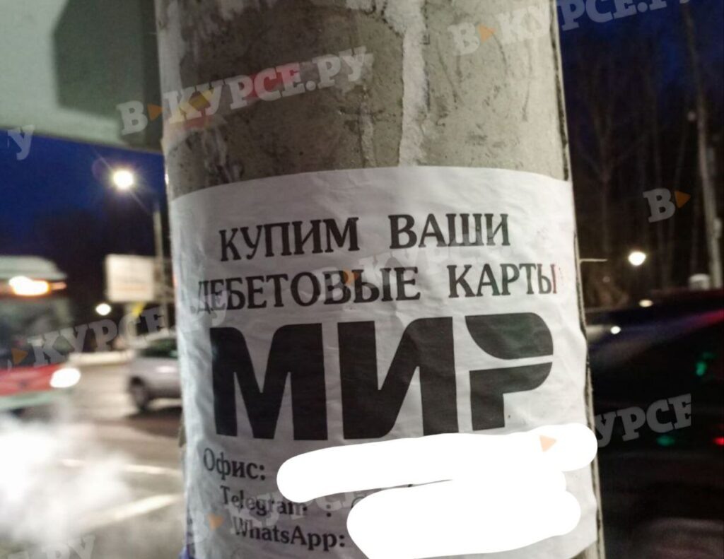    Фото: В курсе.ру Полина Анкушина