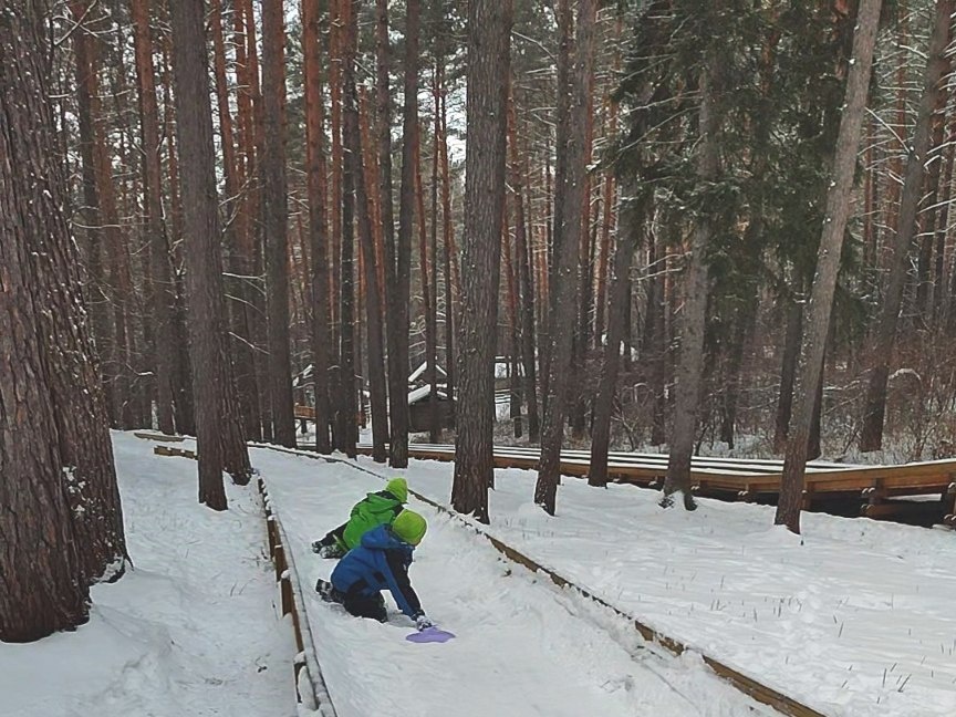 Вадюха, Паша, лес