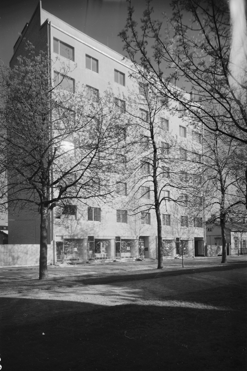 Дом на Кутузова, 9, 1936 г., автор фото Pietinen