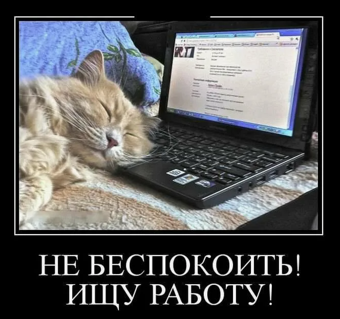 С просторов рунета