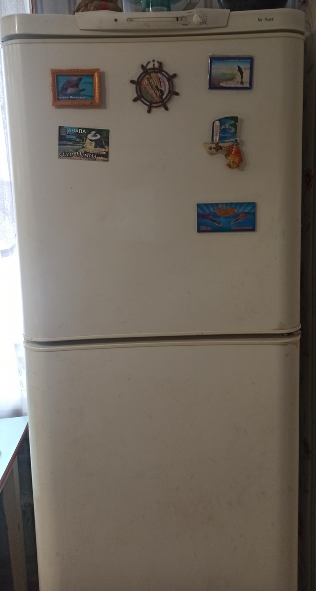 Сам холодильник 