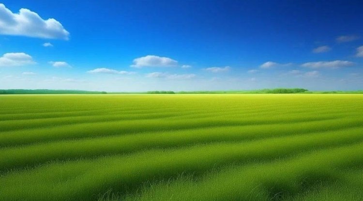    Лен долгунец и главные льносеющие регионы России: итоги 2024