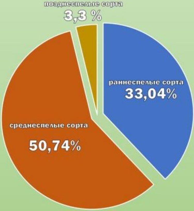     Лен долгунец и главные льносеющие регионы России: итоги 2024
