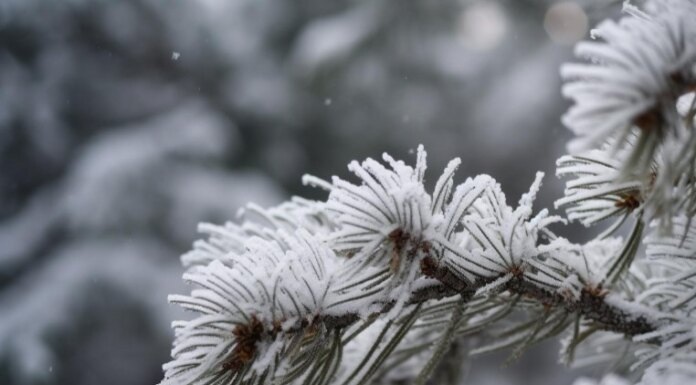   Image by vecstock on Freepik