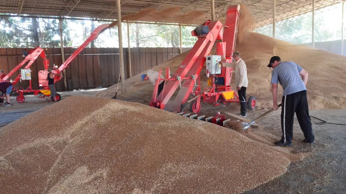     Автор: donland.ru