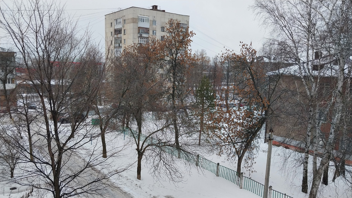 Вид из моего окна.