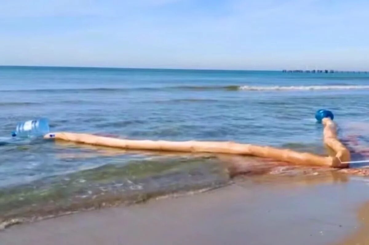    На пляже в Анапе устанавливают биобоны для очистки воды от капель мазута