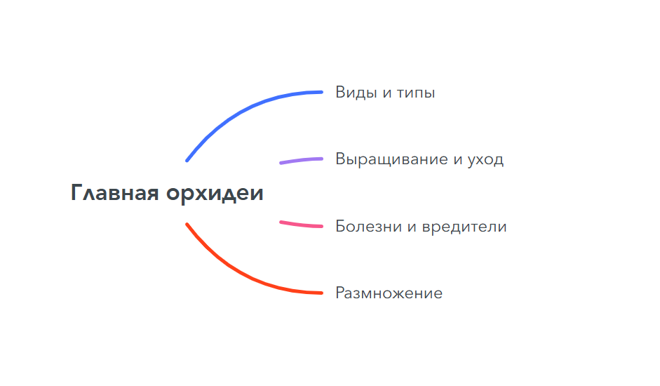 Мандкарта со структурой инфосайта про орхидеи