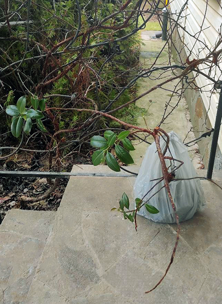 Враг сокрушен