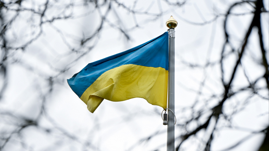    Фото: www.globallookpress.com/Anastasiia Smolienko; 5-tv.ru