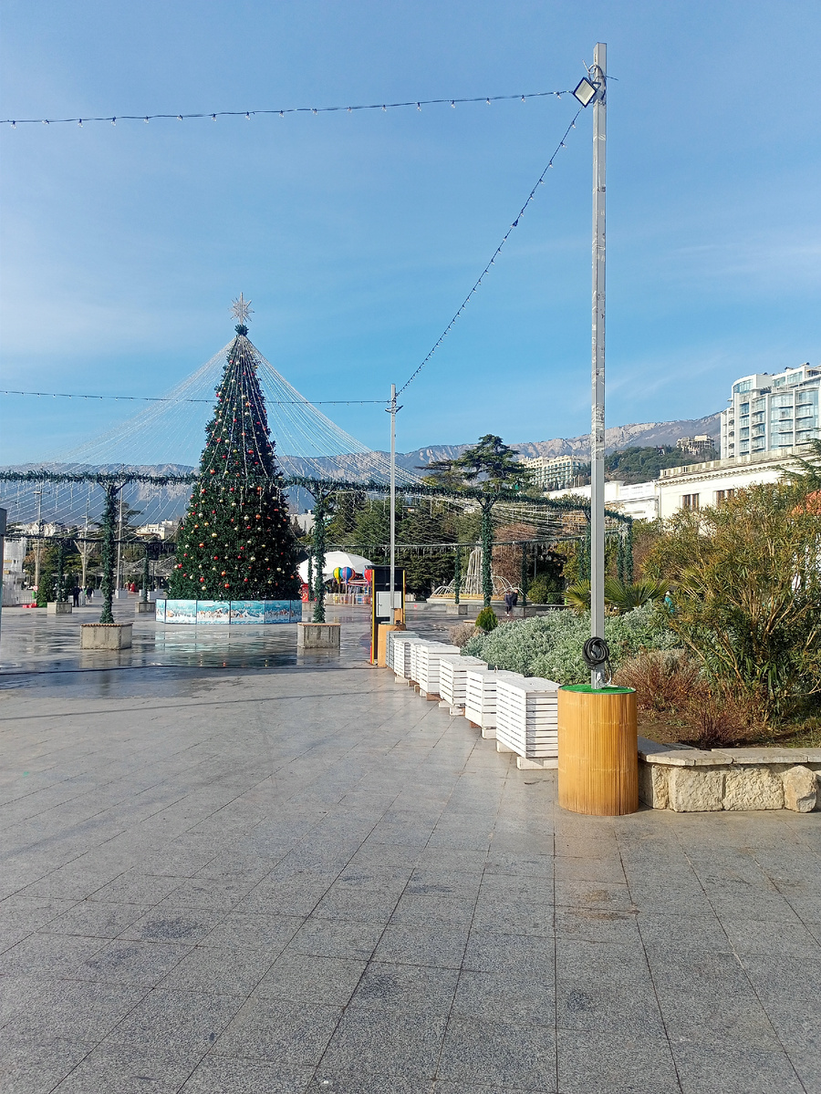 Ёлка в Ялте. Ещё не убрали.