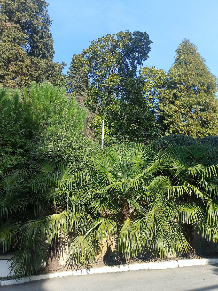 И не скажешь, что сегодня на календаре 31 января...