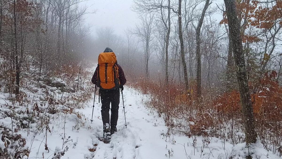     Источник: Изображение Midjourney