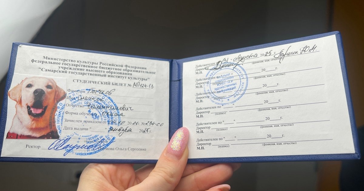    Что выгоднее: нанимать репетитора или копить на платное