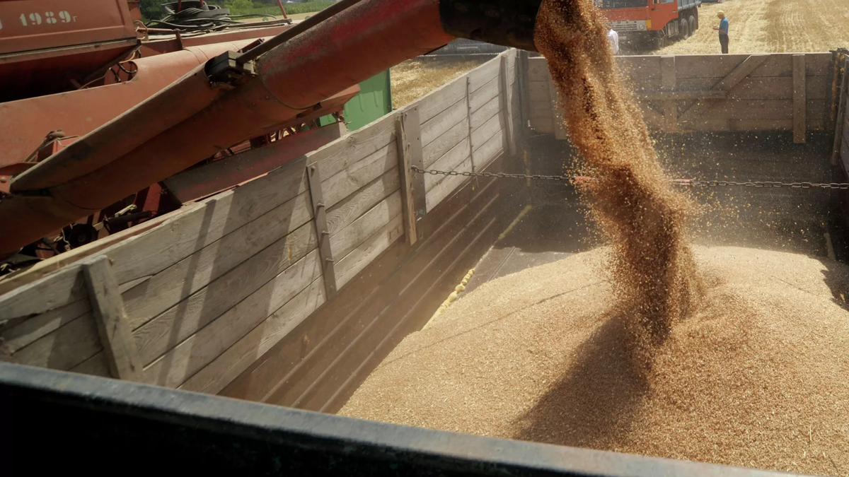 © photo: Sputnik / Andrey Arkhipov