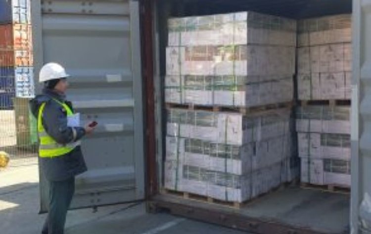    В январском импорте пестицидов и агрохимикатов 2025 лидирует китайская продукция