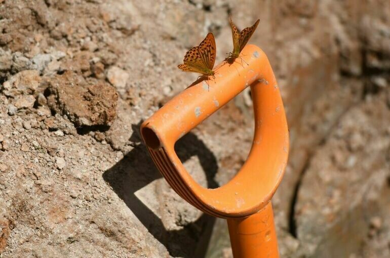   Владимир Вяткин / РИА Новости