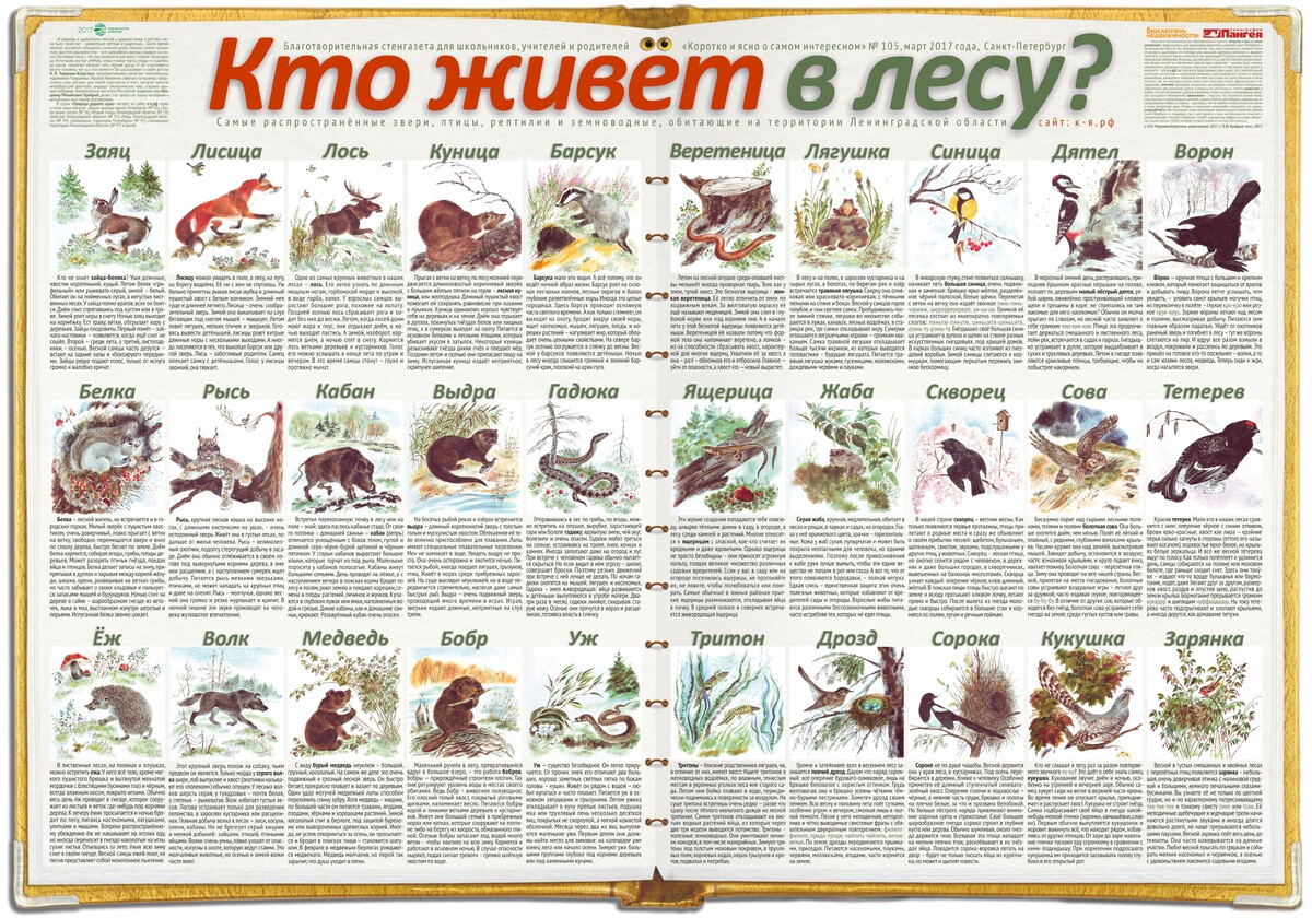    Лесная жизнь: мечта или законное бремя?