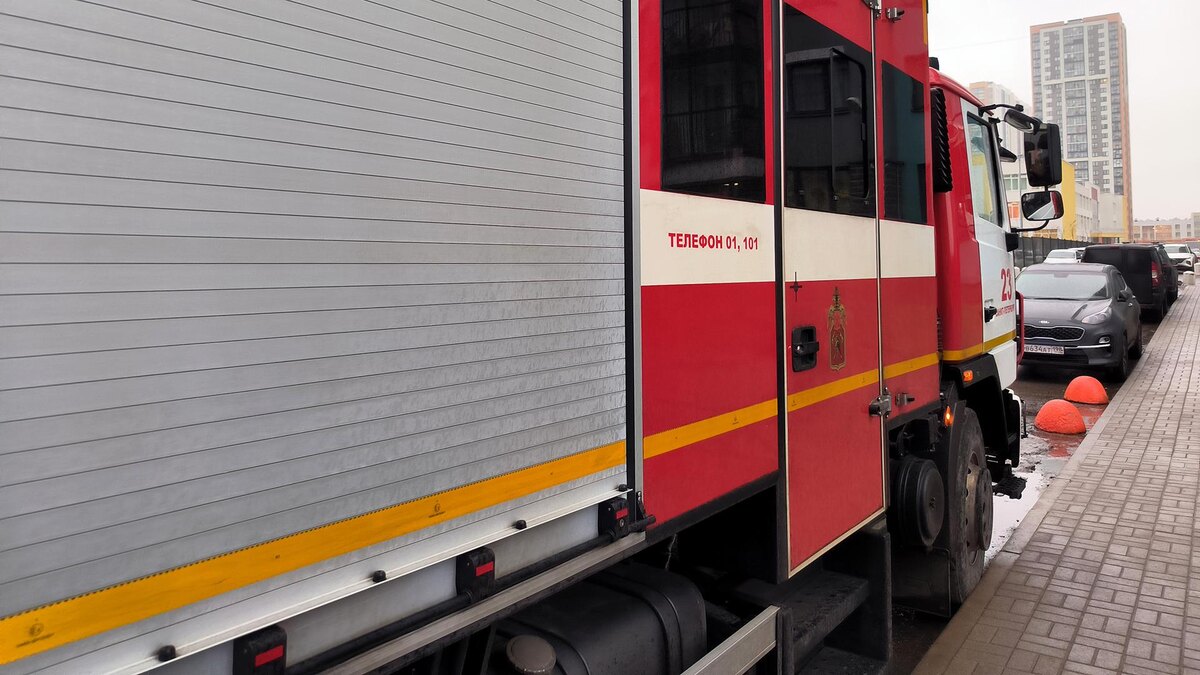    Фото: Maksim Konstantinov/globallookpress.com