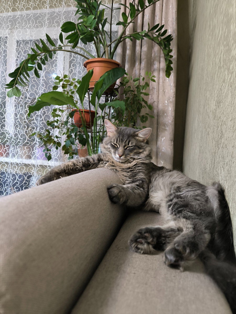 Всё фотографии в статье авторские