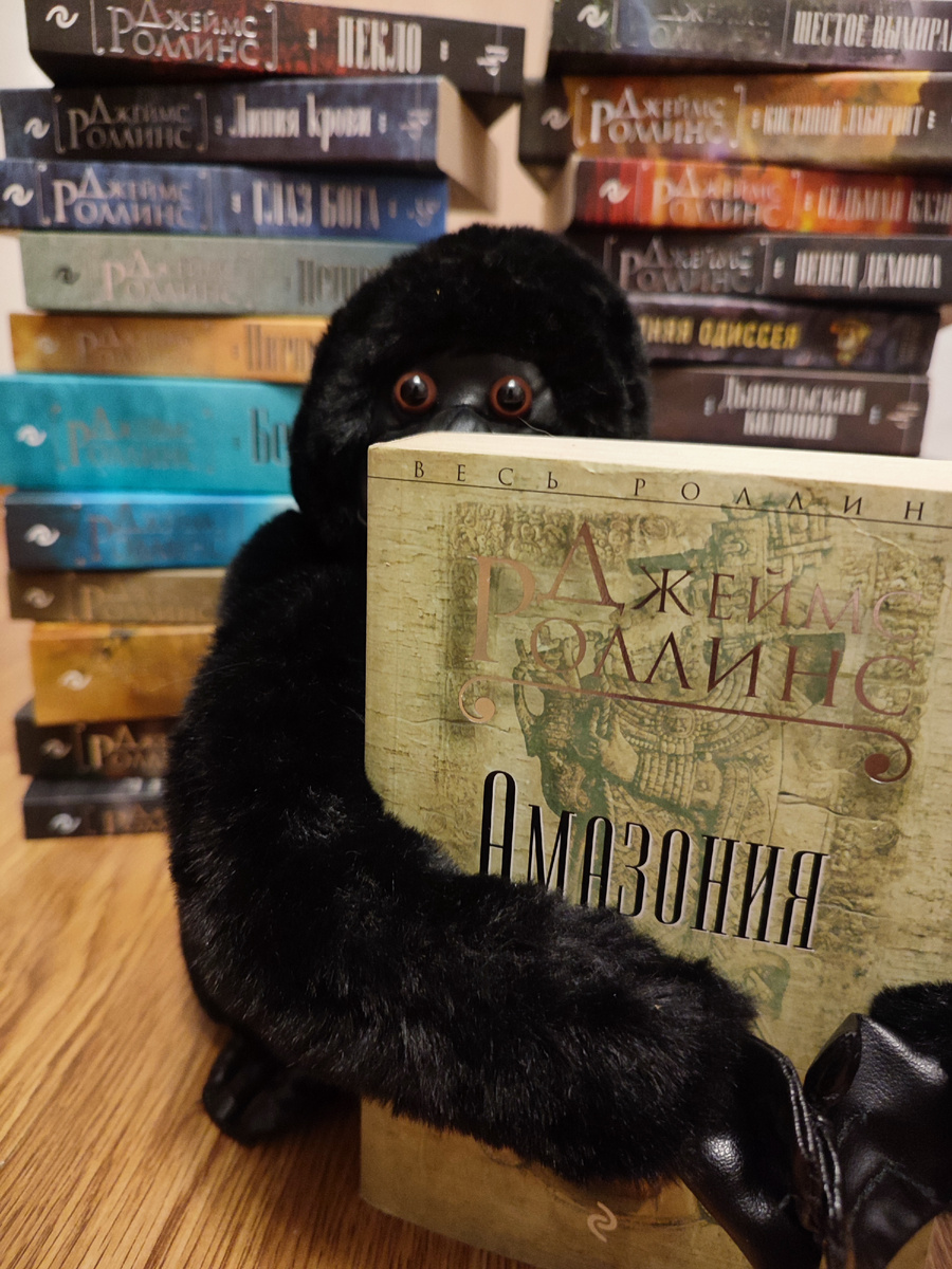 Фото из моей личной коллекции. Фото сделано мной. На фото моя книжная подборка автора Джеймса Роллинса, издательства Эксмо: Песчаный дьявол Кости волхвов, Печать Иуды, Последний Оракул, Ключ судного дня, Тропа мертвых, Дьявольская колония, Линия крови, Глаз Бога, Шестое вымирание, Костяной лабиринт, Седьмая казнь, Венец демона, Пекло, Пещера, Пирамида, Бездна, Амазония, Айсберг, Алтарь Эдема, Убийцы смерти. Публикация фото преследует в информационные цели. Подробнее о книгах и играх указано ниже в статье.