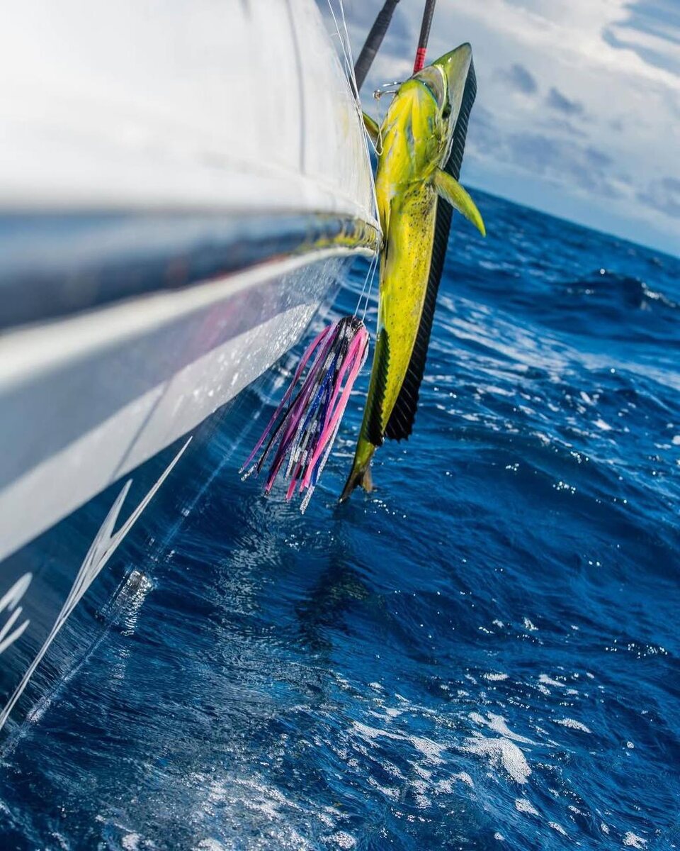 Силиконовая приманка КАЛЬМАР ZEGNA FISHING полностью оснащена