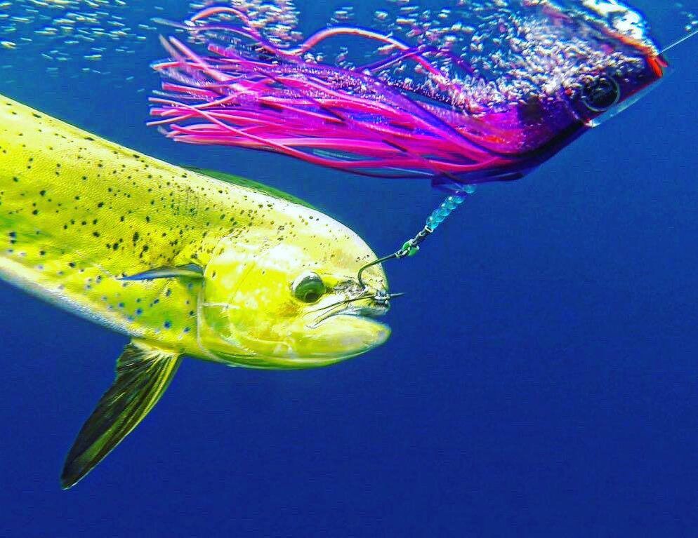 Силиконовая приманка КАЛЬМАР ZEGNA FISHING + комплект поводок/карабин/крючок 9/0 + сумка в ПОДАРОК