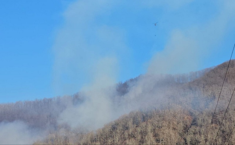    Фото: пресс-служба администрации Сочи