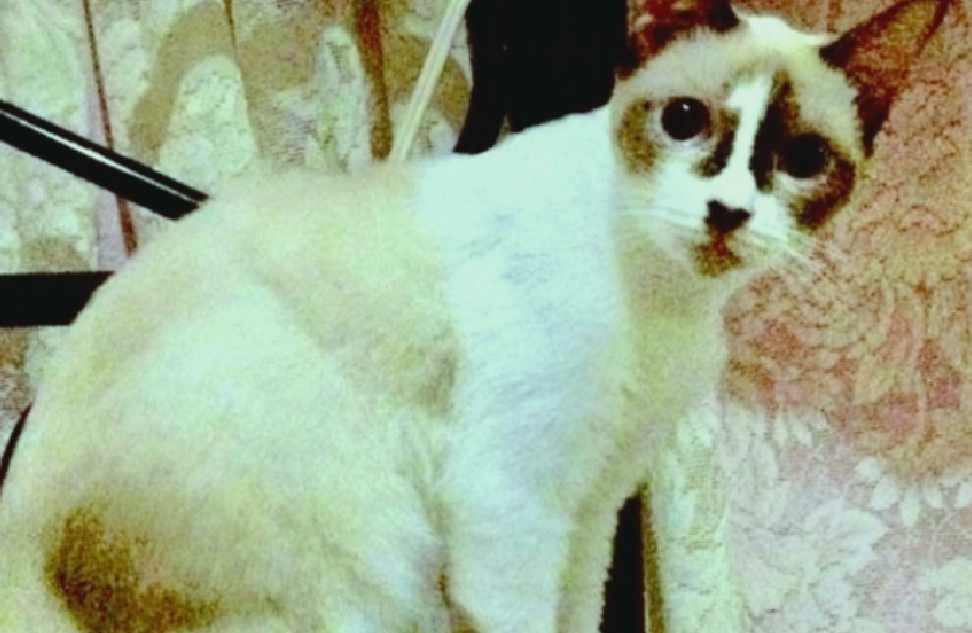 Первый... --->>>